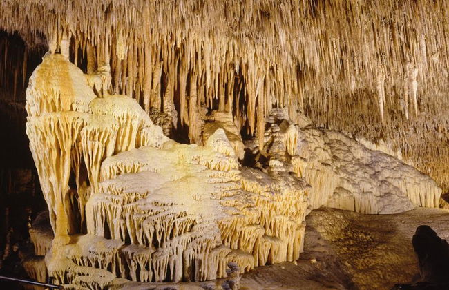 Cuevas del Drach con paseo en barca y concierto de música clásica - Tour de medio día - Foto 5